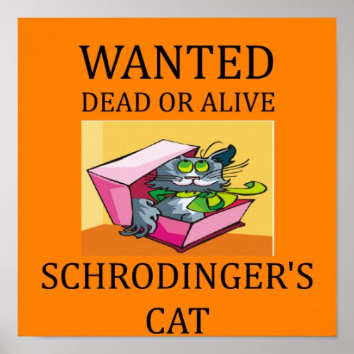 schrodinger's cat joke poster | Zazzle