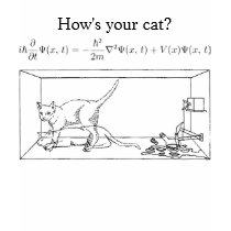 Schrödinger's Cat t-shirts by astrophys Schrödinger's Cat t-shirts