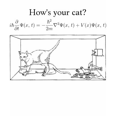 Schrödinger's Cat Tee Shirt by astrophys