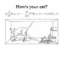 Schrödinger's Cat t-shirts