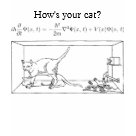 Schrödinger's Cat Tee Shirt