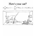 Schrödinger's Cat t-shirts