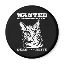 Schrodinger's cat wanted dead or alive magnets