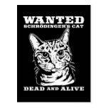 Schrodinger's cat wanted dead or alive post card