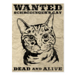 Schrodinger's cat wanted dead or alive postcards