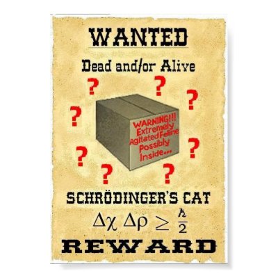 Schrodinger's Cat Wanted Poster by Trouble2K8