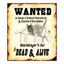 Schrodinger's Cat "Wanted" Poster posters