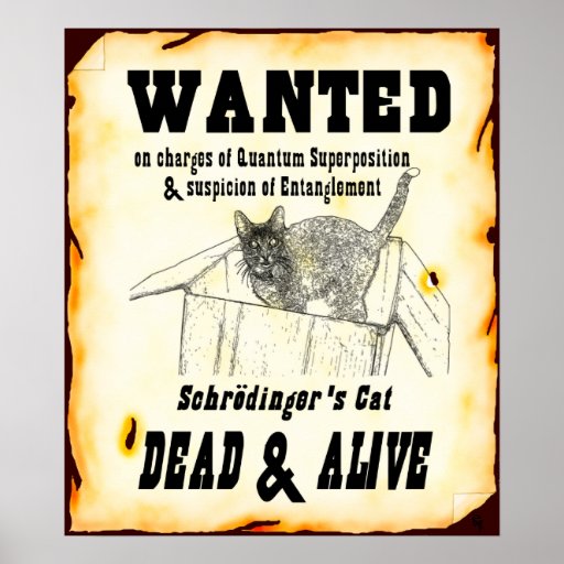funny wanted poster sayings