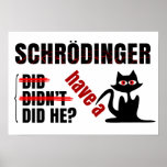 Schrodinger's Dillema Poster