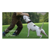 Schutzhund American Bulldog Double-Sided Standard Business Cards (Pack Of 100)