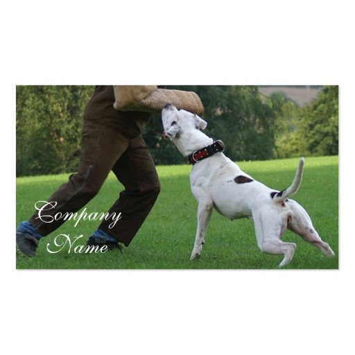 Schutzhund American Bulldog Business Card (front side)