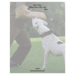 Schutzhund American Bulldog Customized Letterhead