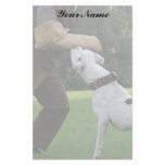 Schutzhund American Bulldog Stationery
