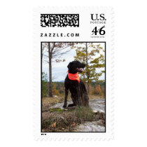 Schwartzie 2 postage by wjdalyjr Schwartzie 2 postage