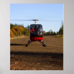 Schweizer 300C Head-On posters