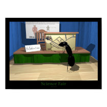 Science Fair posters