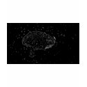 Science Fiction Flying Brain t-shirts