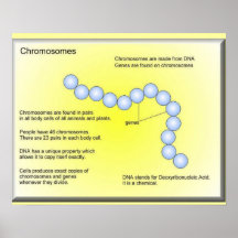 Science, life science, Chromosomes DNA Print