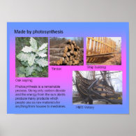 Science, Plants, Made by Photosynthesis Posters