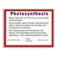 Science,  Plants, Photosynthesis Postcards