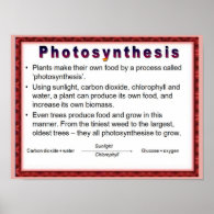 Science,  Plants, Photosynthesis Print