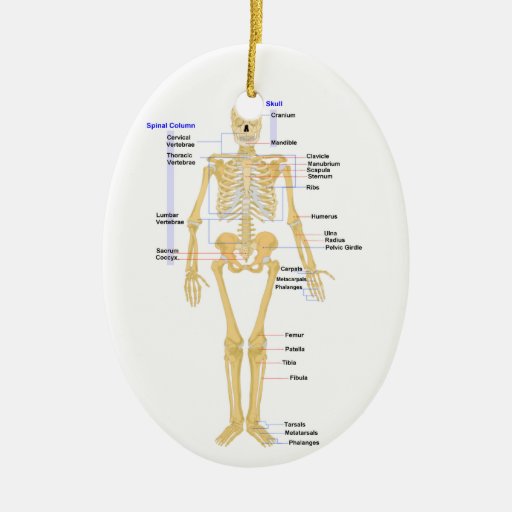 science teacher christmas ornament zazzle science teacher christmas ornament zazzle