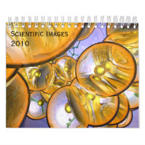 Scientific Images Calendar 2010