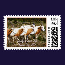 Scimitar Horned Oryx Postage stamps