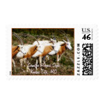 Scimitar Horned Oryx Postage