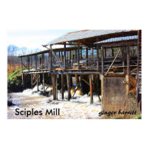 Sciples Mill posters by GingerBarritt Sciples Mill posters