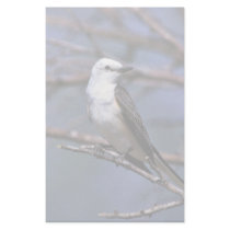 Scissor-tailed Flycatcher Custom Stationery