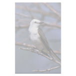 Scissor-tailed Flycatcher Custom Stationery