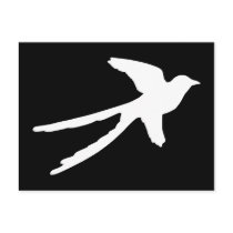 Scissortail Flycatcher Postcard