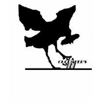SCNOSeagull t-shirts