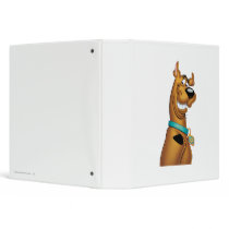 Scooby Doo Airbrush Pose 22 Binders