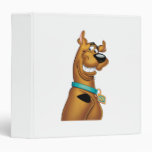 Scooby Doo Airbrush Pose 22 Binders
