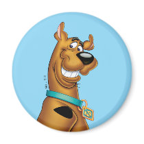 Scooby Doo Airbrush Pose 22 Refrigerator Magnet