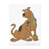 Scooby Doo Cuter Than Cute Pose 12 Post Card