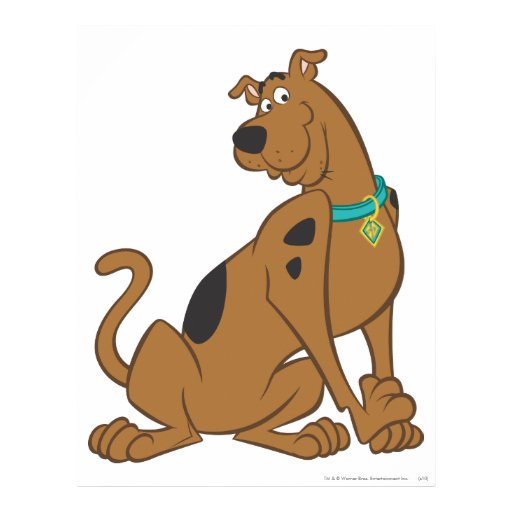 what type of is scooby doo scooby doo cuter than pose 12 poster zazzle what type of is scooby doo scooby doo cuter than pose 12 poster zazzle