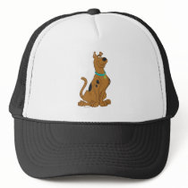 Scooby Doo Cuter Than Cute Pose 15 Hat