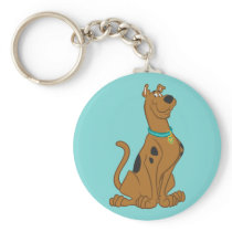 Scooby Doo Cuter Than Cute Pose 15 Key Chain