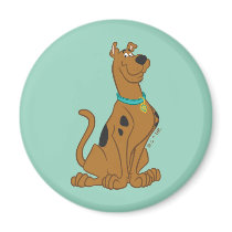 Scooby Doo Cuter Than Cute Pose 15 Refrigerator Magnets