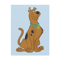 Scooby Doo Cuter Than Cute Pose 15 Post Cards