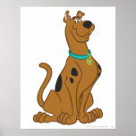 Scooby Doo Cuter Than Cute Pose 15 Posters