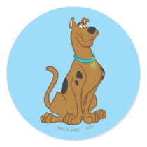 Scooby Doo Cuter Than Cute Pose 15 Round Sticker