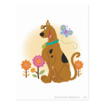 Scooby Doo Following Butterfly1 Post Card