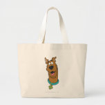 Scooby Doo Pose 14 Canvas Bag