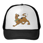 Scooby Doo Pose 41 Trucker Hat
