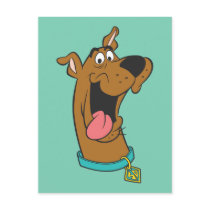 Scooby Doo Pose 49 Postcard