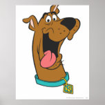 Scooby Doo Pose 49 Print